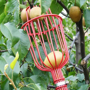 Picker Basket Fruit Convenient Head Aluminum 新品 Deep