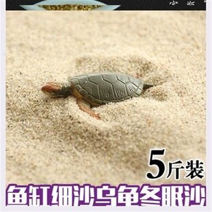 速发=龟养乌-的冬眠产蛋沙下蛋沙乌龟细沙土鱼缸沙龟蛋孵化专用细