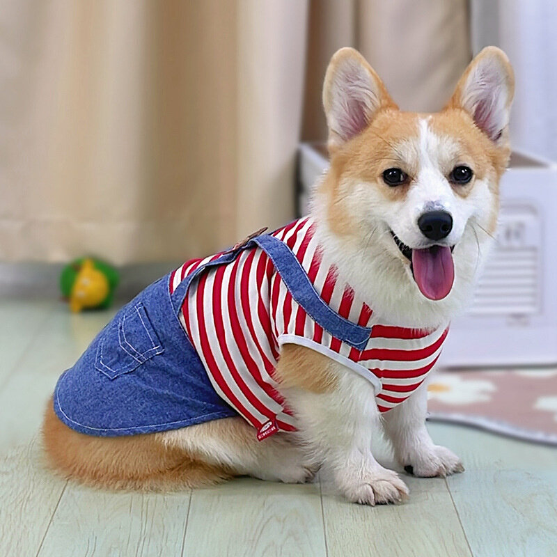 速发春季薄款衣服可爱背带裤背心夏季柯基泰迪小型犬服装