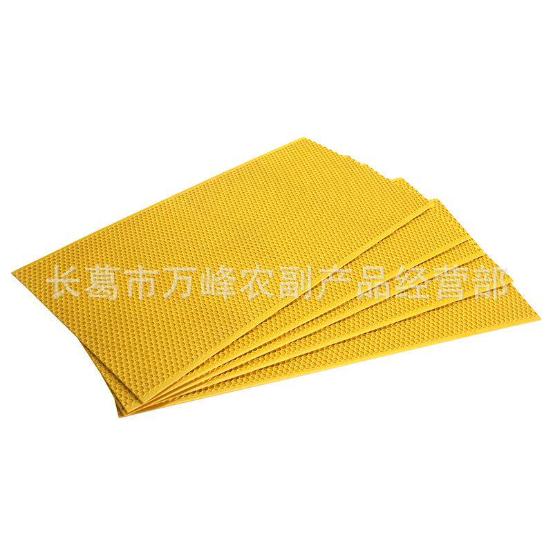 养蜂工具意蜂中蜂塑料巢础片蜂用工具巢脾巢基出口型养蜂用具