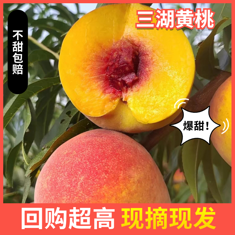 三湖黄桃新鲜大桃当季现摘锦绣黄肉桃子水果蜜桃脆甜桃子10斤带箱