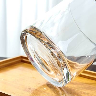 极速郁金香花盆水培盆栽器皿水培容器玻璃瓶植物专用盆养花透明正