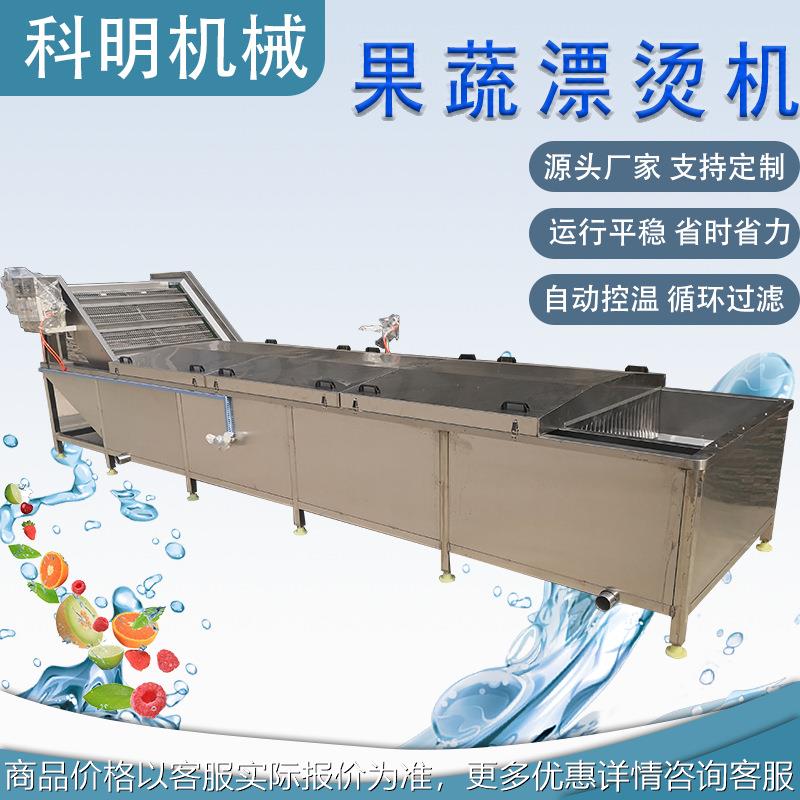 漂烫流水线提升式黑水虻漂烫设备桑芽菜水循环漂烫机自动芝麻叶