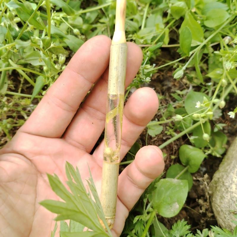 小物竿小鱼竿超轻超细鲫鱼竹子钓竿古法溪流钓鱼竿手杆纯手工鱼竿
