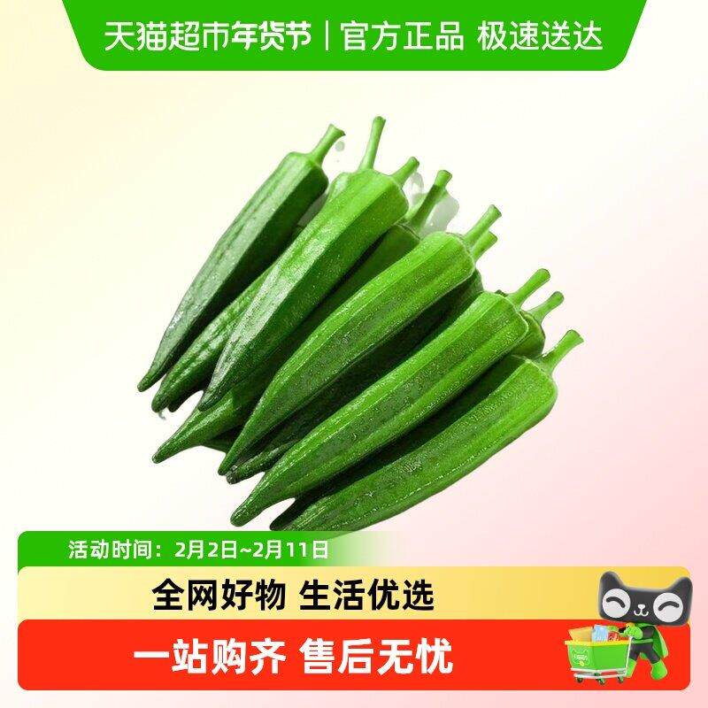 新鲜秋葵当季新鲜蔬菜秋葵鲜嫩黄秋葵净重现摘秋葵