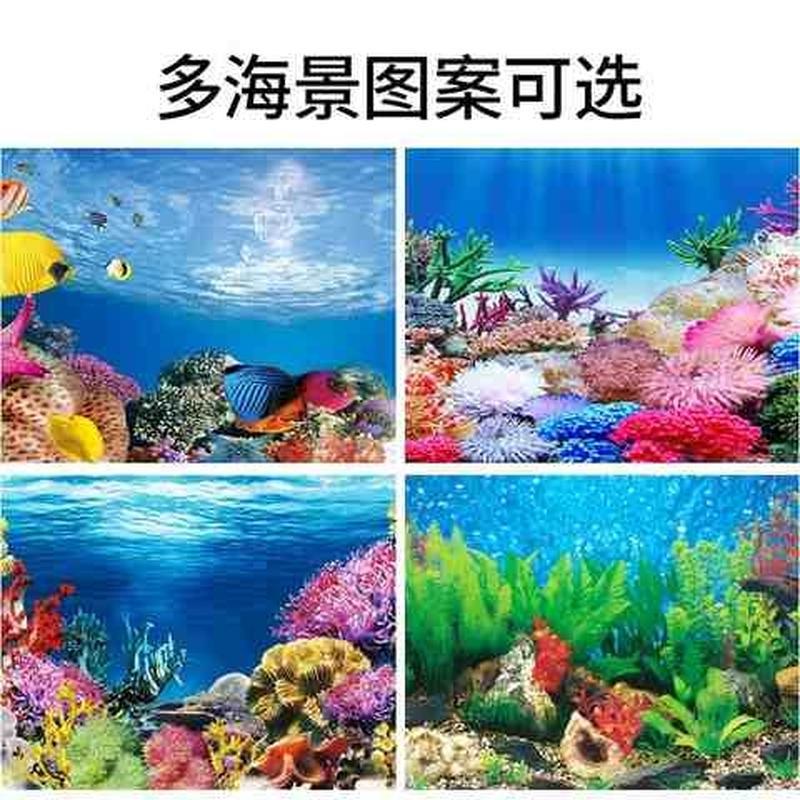 速发缸长方形小型布景玻璃贴纸观赏鱼缸背景纸海景装饰品迷你壁画图片