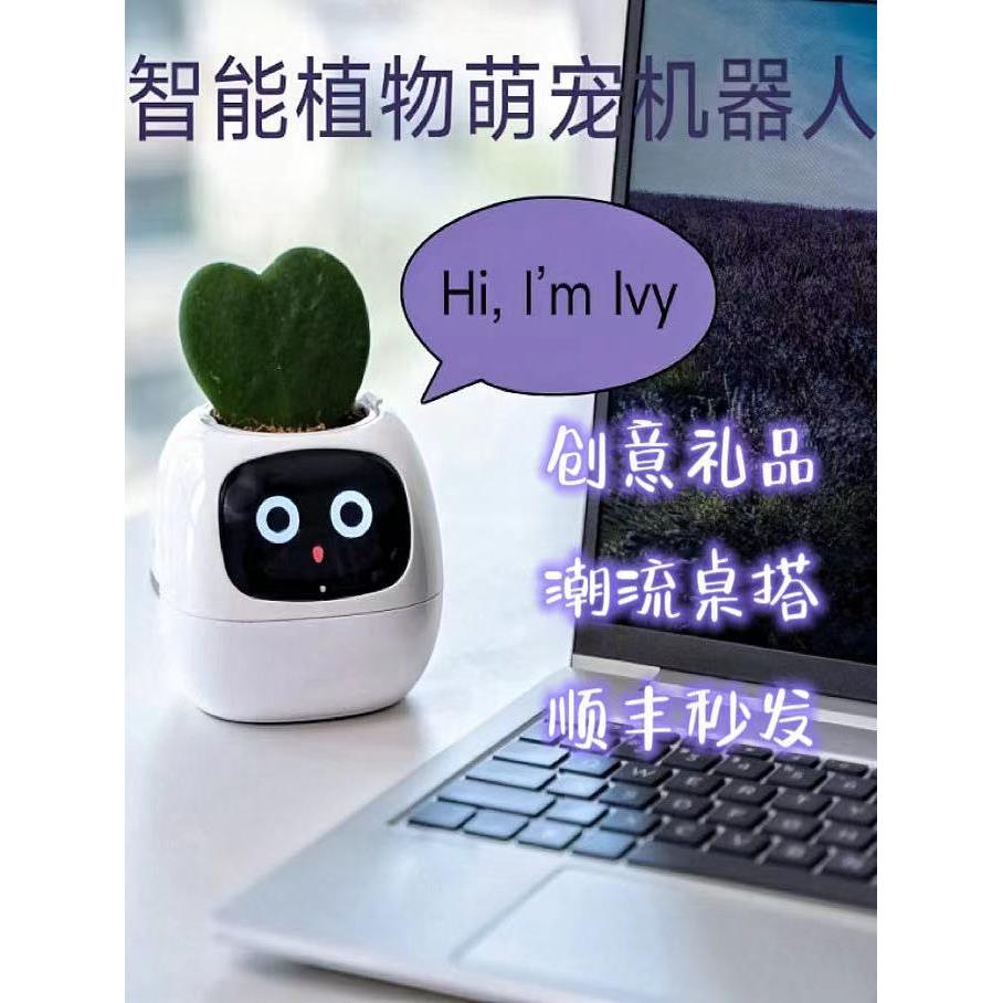 常青藤智能植物可爱宠物花盆桌集时尚的黑色科技的好创意礼品