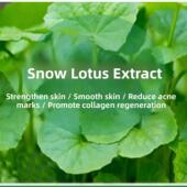 积雪草原液 镇定平痘印强韧肌底 非纯露