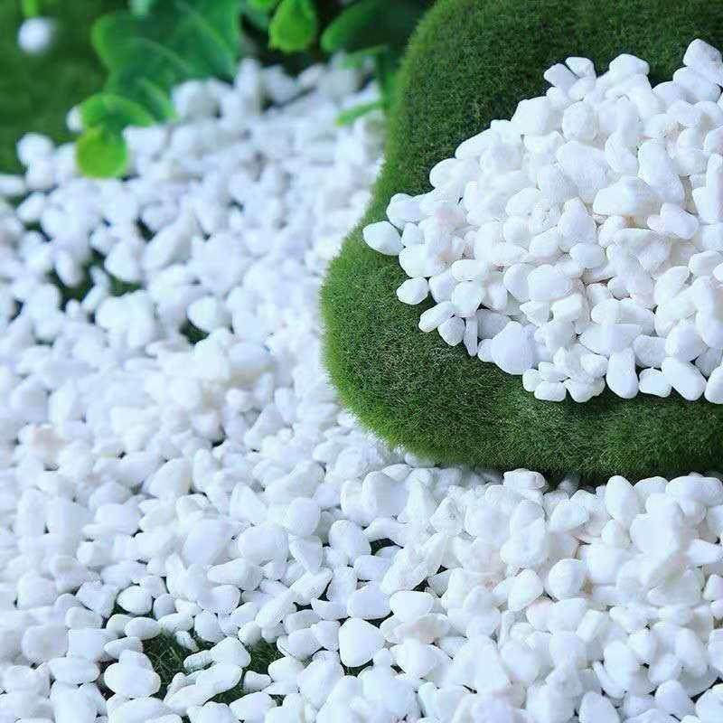 福建白石多肉铺装盆景花盆庭院园林装饰白石园林干景白石,鲜花速递/花卉仿真/绿植园艺,其它园艺用品,淘宝优惠券,粉丝福利购,淘宝优惠卷