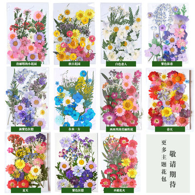 新品干花diy押花书签压花画满天星玫瑰真花干树叶植物标本滴胶束 徐先生的手工作坊 淘优券