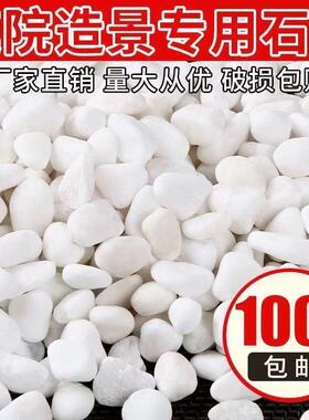 白色大鹅卵石50斤汉白玉石子庭院铺地 园林造景用白石子 枯山水用