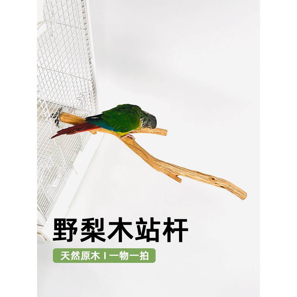 野梨木立杆虎皮牡丹宣风鹦鹉咀嚼原木树枝立杆八哥鸟笼立杆立杆,宠物/宠物食品及用品,鸟禽其他,淘宝优惠券,粉丝福利购,淘宝优惠卷