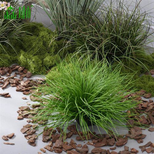 速发仿真绿植假草团蒲草造景草堆摆件室内地面假花芦苇景观狗尾巴