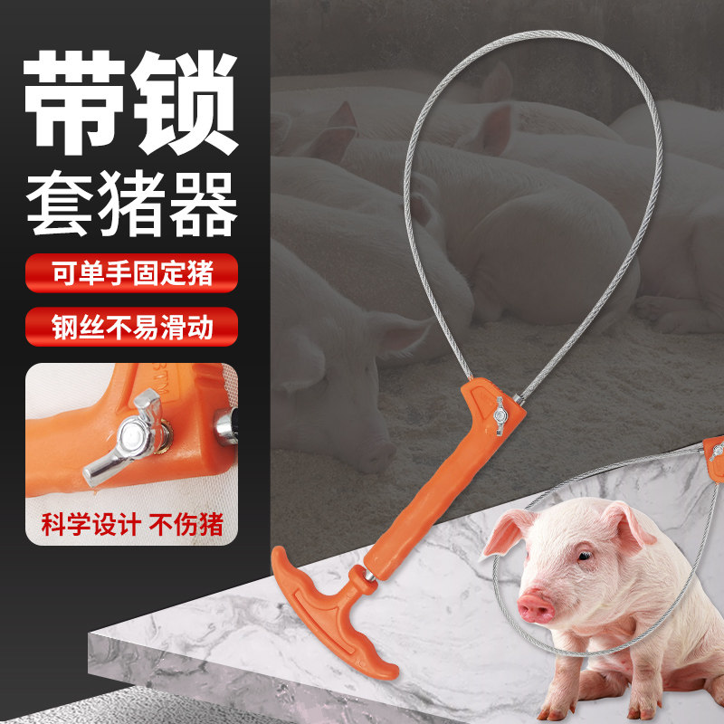 速发工锁猪用套定器套猪绳野外野兽拉猪抓捕带具猪套子保猪嘴猪脚