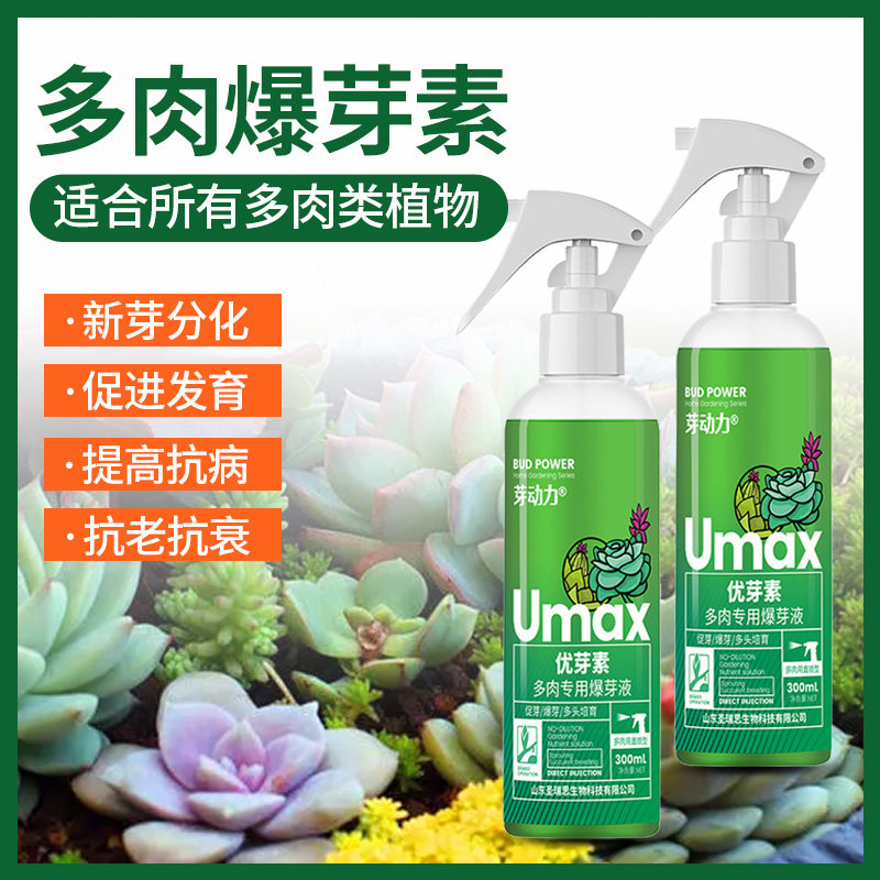 速发优芽促多芽素爆肉促多头侧芽分裂素促芽素生长催芽矮胖素