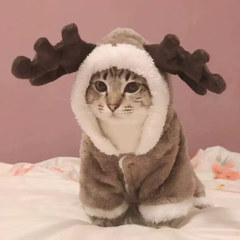 速发猫咪衣服英季冬短蓝猫布麋幼猫加厚保暖偶鹿搞怪冬装