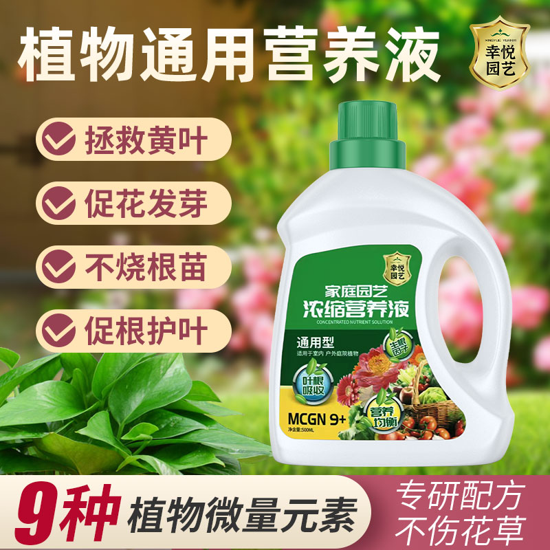 速发花卉营养液植物绿用型财花草室内通植水培绿萝发养树花肥家用