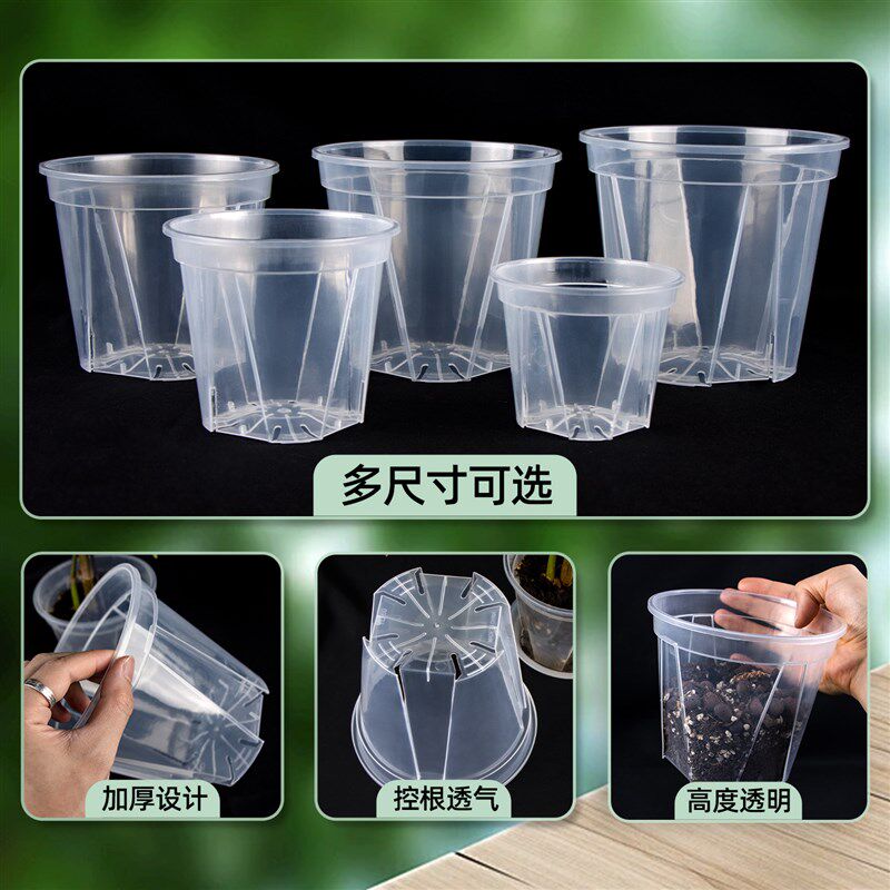 速发高透明青山盆透气控根盆不烂根朱顶红蝴蝶兰花盆绿植石斛水苔