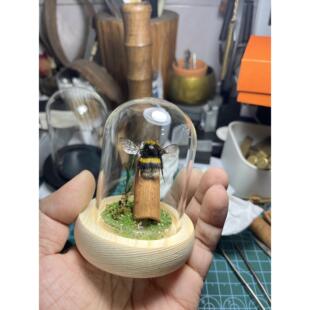 甲虫标本玻璃罩甲虫标本熊蜂标本生态玻璃罐熊蜂标本创意桌面摆件