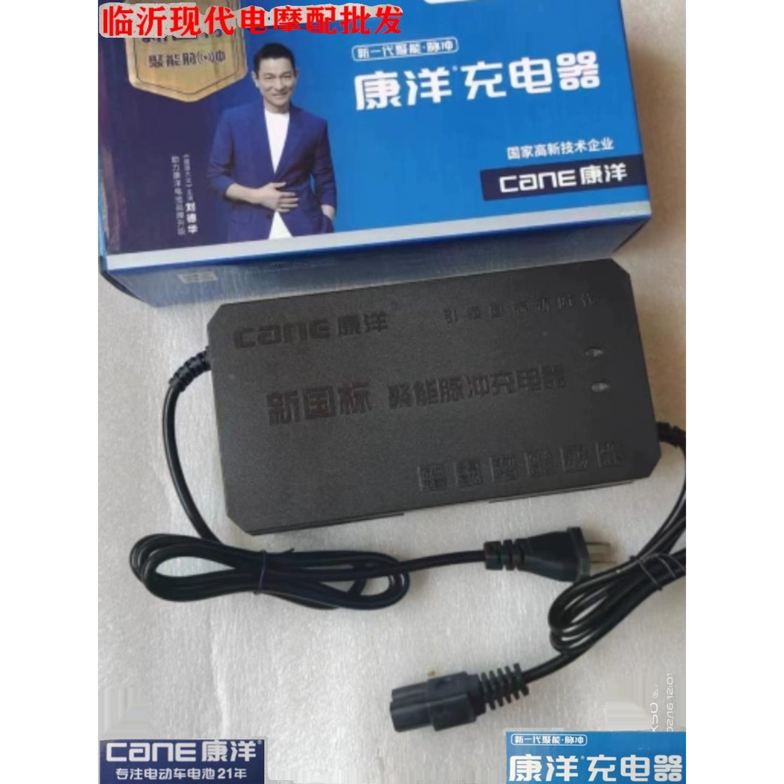 包邮康洋电动车充电器48v20AH/60v72v干电池电摩车智能通用充电器