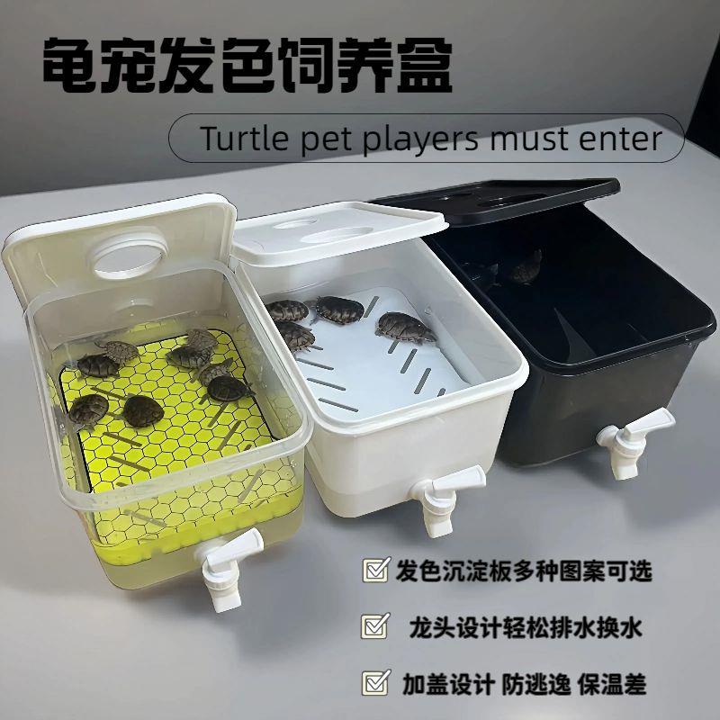 乌龟饲养盒蛋龟发色盒果核窄桥龟加温箱生态缸剃刀麝香龟苗缸龟缸