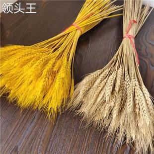 金黄色麦穗干花开业大麦花篮 麦穗干花 麦穗干花花束 真麦子