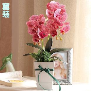 假花兰花摆设客厅餐桌花摆家居装 仿真手感3D打印蝴蝶兰套装 饰花束