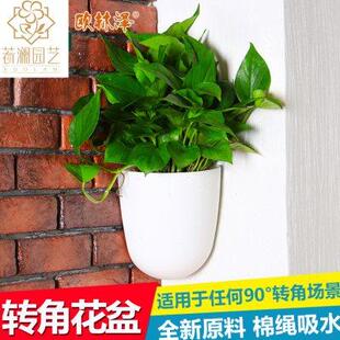 懒人自动吸水绿萝挂墙壁挂塑料盆 直角转角墙角转弯立体创意花盆