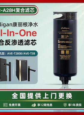 Culligan/康丽根小黑龙净水器滤芯RC-A28H RO反渗透滤芯T2800/T3B