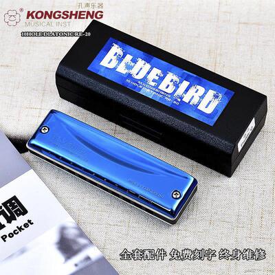布鲁斯蓝调通用孔声蓝鸟专业10孔演奏BLUEBIRD-RE20十孔paddy口琴