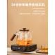 电热陶瓷炉茶机家用新型健康壶小迷你水壶围炉泡茶网电热磁力炉