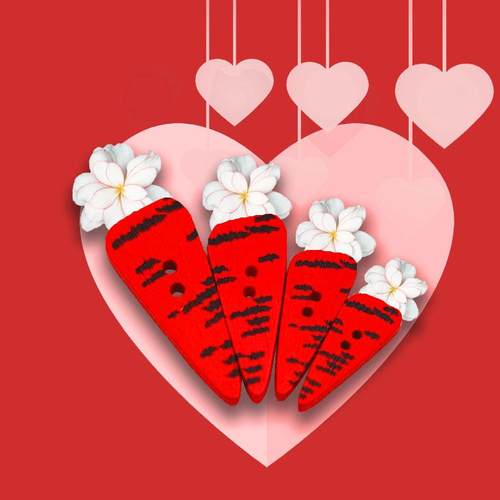 2款木质红色萝卜混装纽扣 DIY萝卜图案服装纽扣 100个一包