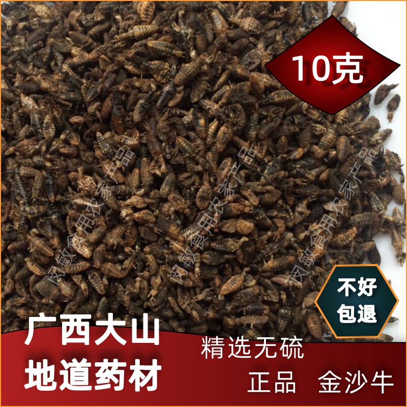 广西野生金沙牛中药材10克蚁狮金砂牛倒退蚂岭虫地牯牛无杂沙牛虫