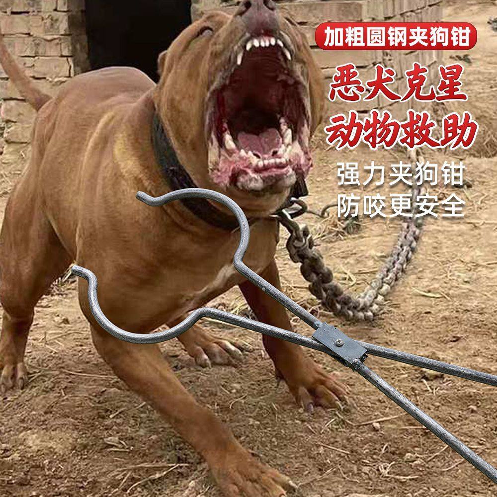 抓狗神器狗钳子夹子套狗器抓捕狗工具狐狸貉子防狗咬救助流浪狗猫,家庭/个人清洁工具,垃圾夹,淘宝优惠券,粉丝福利购,淘宝优惠卷