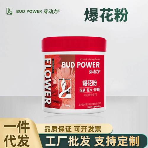 芽动力家庭园艺爆花粉花卉果树绿植盆栽地栽植物开花冒花营养肥料