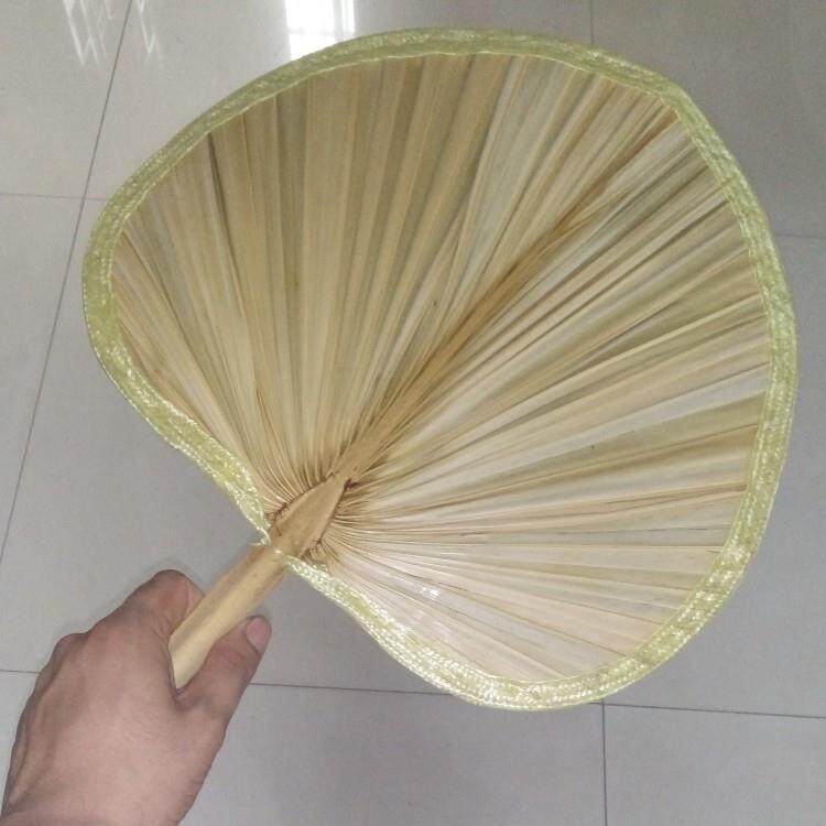 大蒲扇 葵扇 芭蕉扇子植物扇夏季家居日用百货地摊货小商品赶集