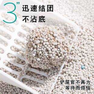 滋贝膨润土猫砂10kg除臭结团带香味好粉尘强力吸水猫沙20斤