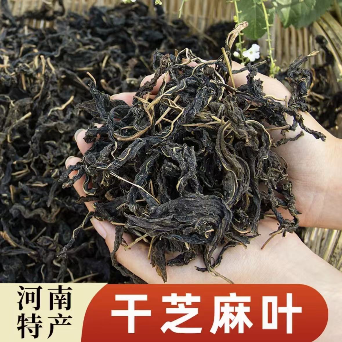 河南干芝麻叶原产地直发