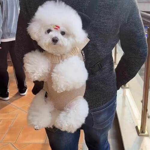 极速狗狗抱婴袋揹包外出双肩泰迪比熊小型犬高颜值胸前透气网布夏