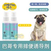 巴哥犬专用狗狗大小便八哥犬上厕所宠物拉便便训练定点神器诱导剂