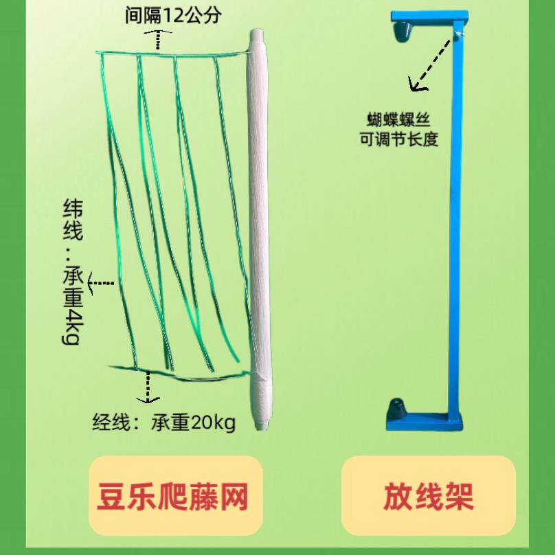 豆乐爬藤网四季豆网豌豆网豇豆豆角网豆种植免挂线厂家豆角爬藤网