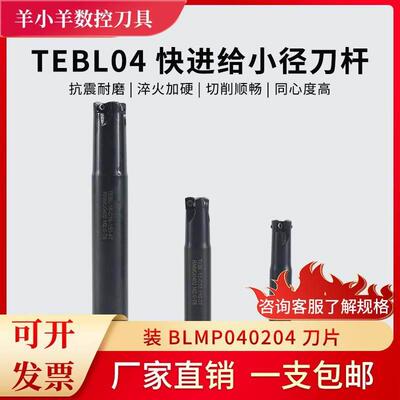 TEBL04R特固克双面快进给铣刀杆BLMP040204刀片刀杆 10 12 16
