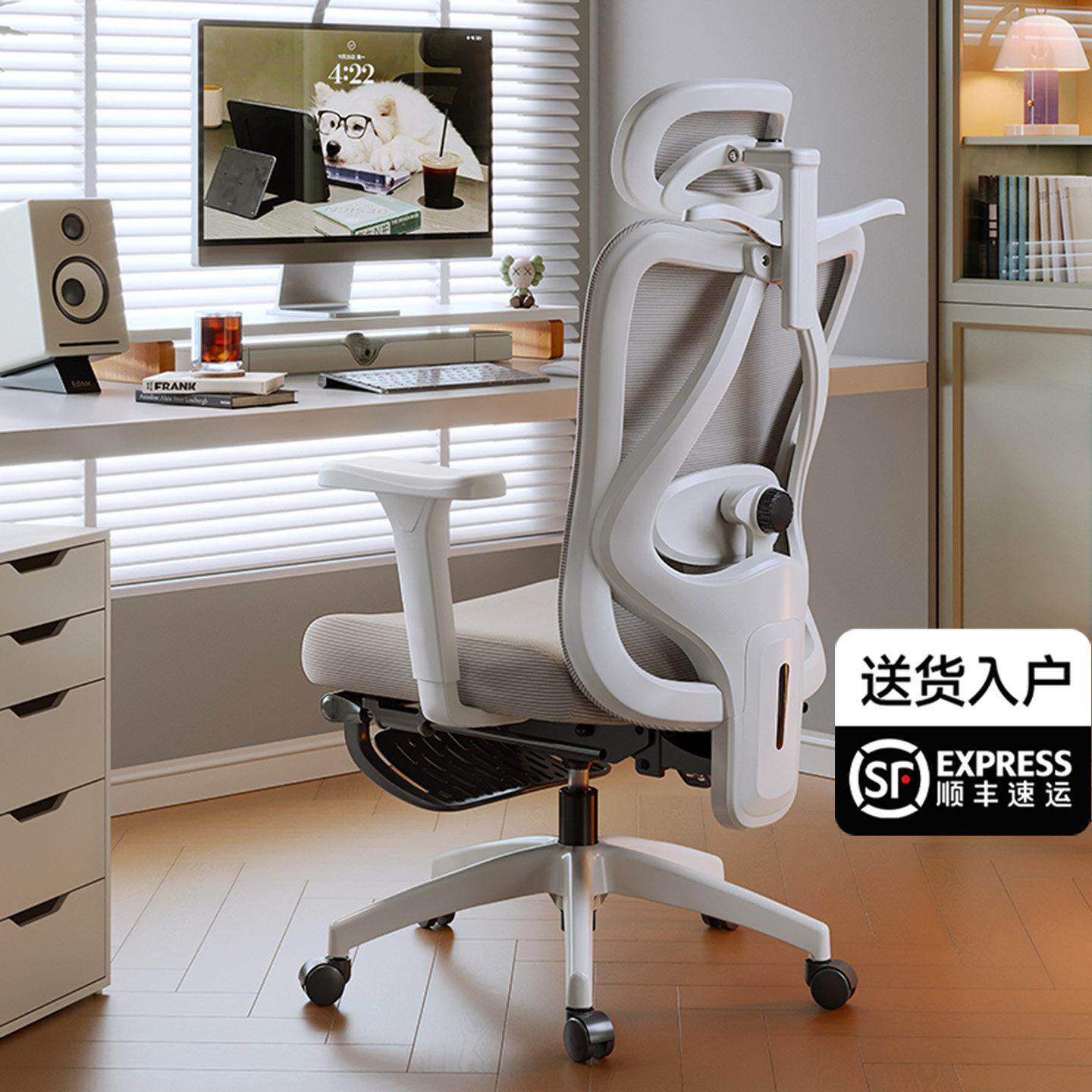 人体工学椅撑腰椅家用电竞椅子久坐舒服电脑椅靠背办公椅学习座椅