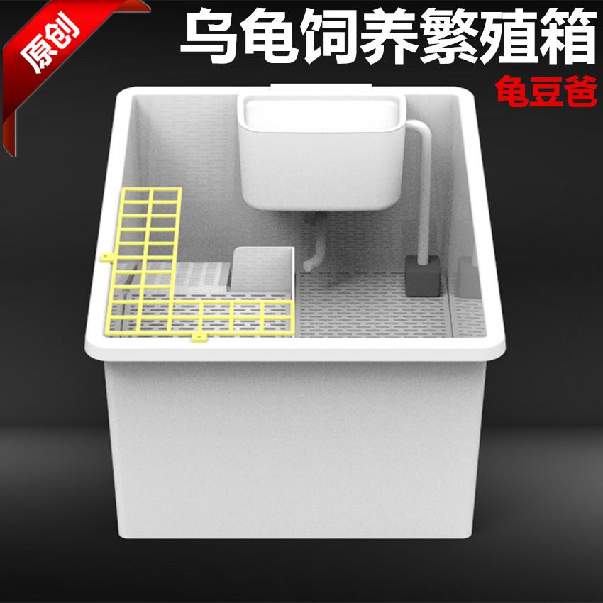 窄桥蛋龟缸乌龟箱活体巴西红面龟果核龟饲养龟繁殖产下蛋带晒台