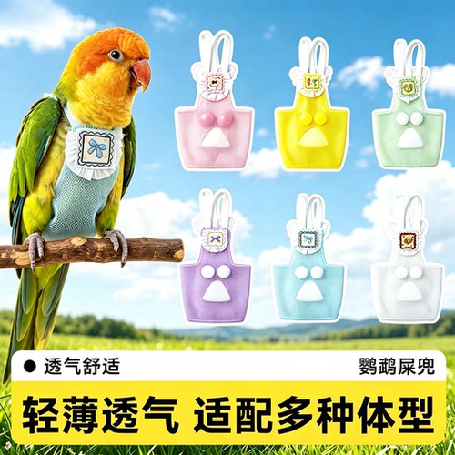 鹦鹉屎兜夏季网纱飞行服牵引绳