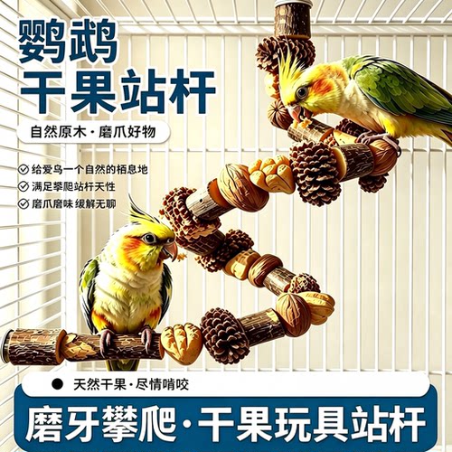 天然干果鹦鹉站杆！磨牙磨爪玩具