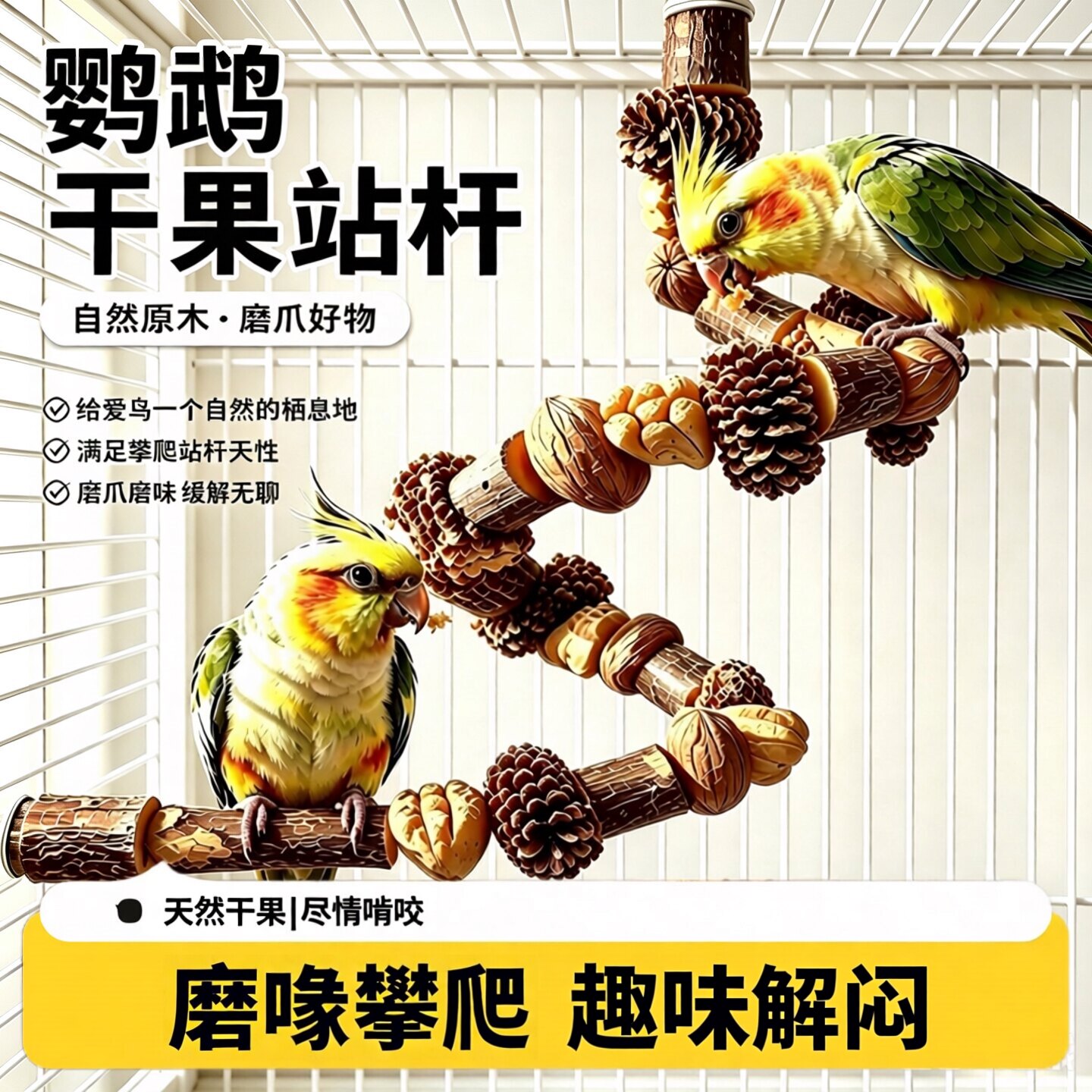 鹦鹉站杆啃咬玩具！鹦鹉磨喙串