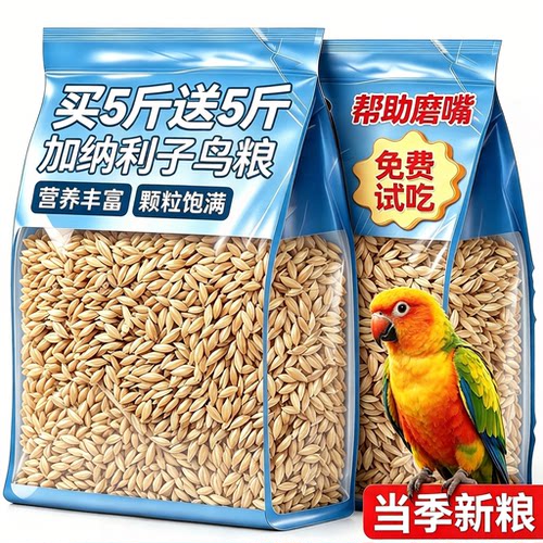 加纳利子鹦鹉粮鸟饲料！当季新粮