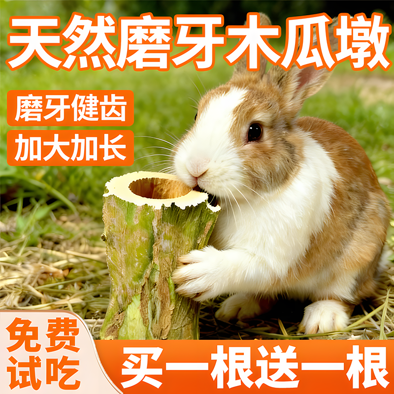 兔子磨牙天然烘干木瓜墩大小号垂耳兔龙猫荷兰猪零食健康啃咬木头