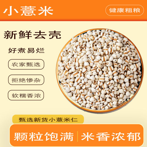 新米贵州小薏米煮粥煲汤粥米